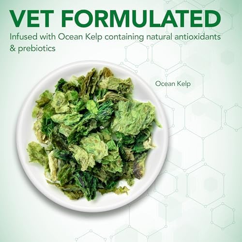 Vet's Best Probiotic Soft Chews for Dogs, Digestive Aid, 30 Day Supply | Probiotic Soft Chews, Supports Digestive Health & Healthy Gut Flora, Daily Supplement for Dogs, 30 Day Supply