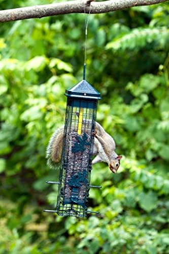 Squirrel Solution200 Squirrel-proof Bird Feeder w/6 Feeding Ports, 3.4-pound Seed Capacity, Free Seed Funnel | Six ports