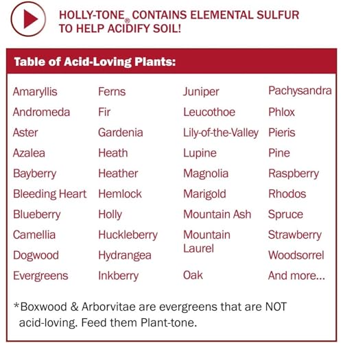 Espoma Organic Holly-Tone 4-3-4 Natural & Organic Evergreen & Azalea Plant Food, 4 lb. Bag