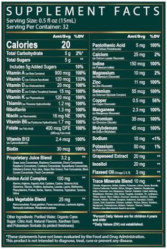 Wellgenix Balanced Essentials Kids Liquid Multivitamin, 16 Fl Oz