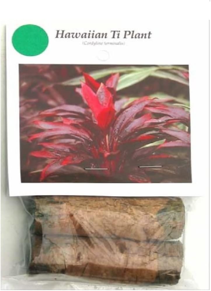 HAWAIIAN GREEN TI LEAF PLANT 2 LOGS ~ GROW HAWAII