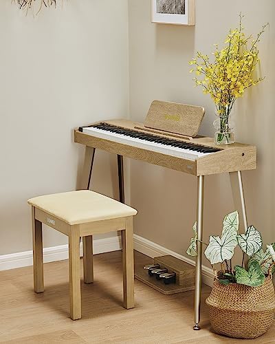 Donner Piano Bench with Storage, Solid Wood Keyboard Bench Piano Bookcase Stool Chair Seat with High-Density Sponges Pad, Black