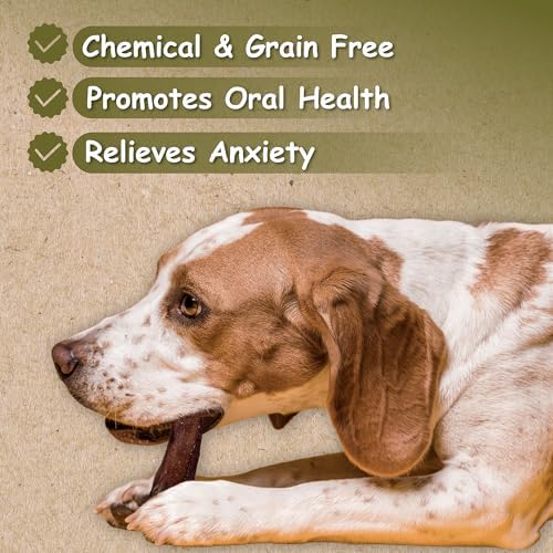 Top Dog Chews - 12 Inch Standard 12 Pack Bully Sticks, Long Lasting, 100% Natural Beef, Free Range Grass Fed, High Protein