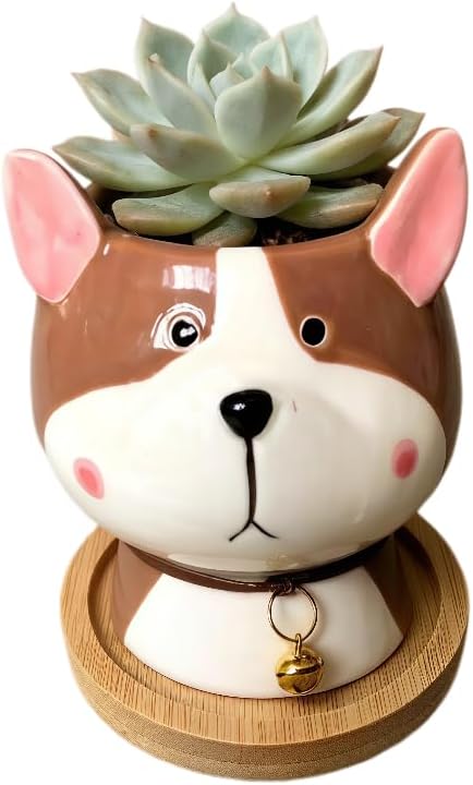 Cuteforyou Succulent Pots,Cute Animal Shaped Cartoon Ceramic Succulent Cactus Flower Planters -Plant Not Included，Cat