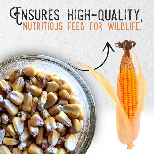 Ernst Grain & Livestock Whole Corn – Perfect Feed for Deer, Squirrels, Chickens, Ducks, Rabbits, Geese, and More! (46 Pound)