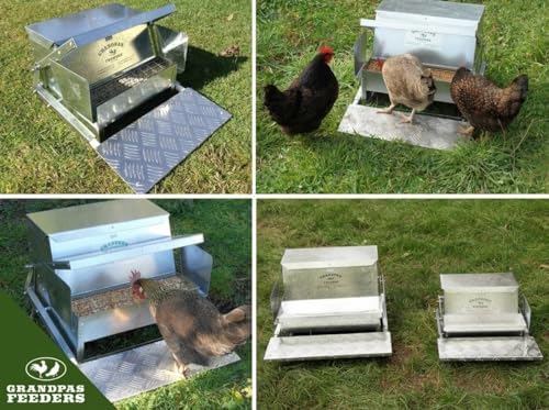 Grandpas Feeders Automatic Chicken Feeder - 20 lbs No Waste Poultry Feeder, Rat Proof & Rodent Proof Treadle Chicken Feeder, Galvanized Steel with Lid, Feeds 6 Chickens up to 10 Days