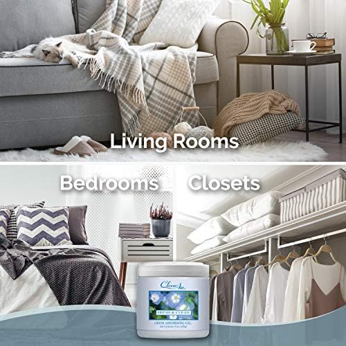 Clear Air 15oz Gel Odor Eliminator - Absorb & Remove Strong Odors from Pets, in Bathrooms, Basements, Garage, Cars, RVs & Boats - Eliminate Tough Odors with Essential Oils (Spring Rain, 2-Pack)