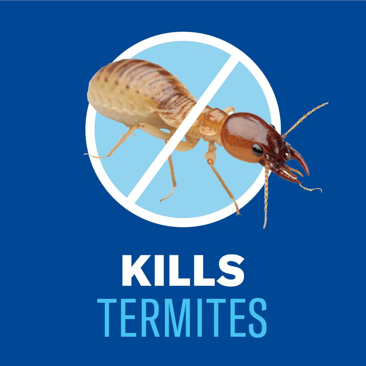 BioAdvanced Carpenter Ant & Termite Killer Plus Spray - 1 Gal Bottle | Ready-to-Use - Kills Carpenter Bees - Indoor & Outdoor Insect Control - Sprayer Included