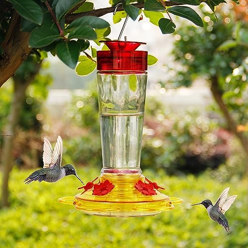 Shrdaepe Hummingbird Feeder, Glass Bottle Bird Feeders, 5 Feeding Ports, 10-Ounce Nectar Capacity