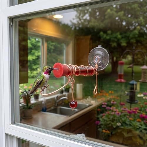 Window Hummingbird Feeder with Suction Cup, 2 Nectar Ports | Window Mount; Suction Cup Design; 2 Nectar Ports; Up-Close Viewing