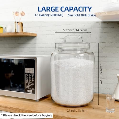 3 Gallon Glass Jar with Airtight Lid, Wide Mouth Large Glass Container