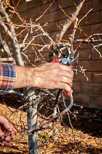 Corona BP 4180 Non-stick Steel Angled Bypass Hand Pruner - 5/8 inch Cut Capacity Stem and Branch Garden Shears, Red