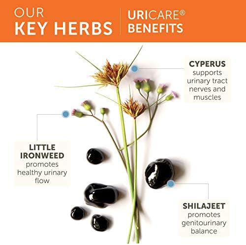 Himalaya UriCare Herbal Bladder & Kidney Support Supplement, 120 Capsules | Urinary Tract Wellness Support For Urinary Tract Wellness With Shilajit - Vegan, Non-GMO, Gluten Free, 60 Servings