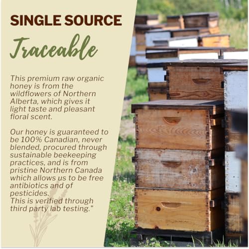 Oneroot 100% Organic Canadian Wildflower Honey - 17.6 Oz/1.1 Lbs, Unheated & Creamed - Nutrient-Rich