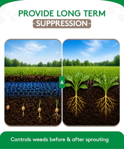 Alligare Diuron 80 DF Herbicide - Pre- & Post-Emergent Weed Killer for Industrial & Non-Crop Areas - Controls Crabgrass, Ryegrass & Broadleaf Weeds - Dry Granules for Ground Application - 5 lb