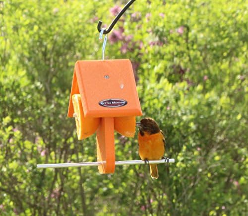 Recycled Single Oriole Orange Fruit Feeder