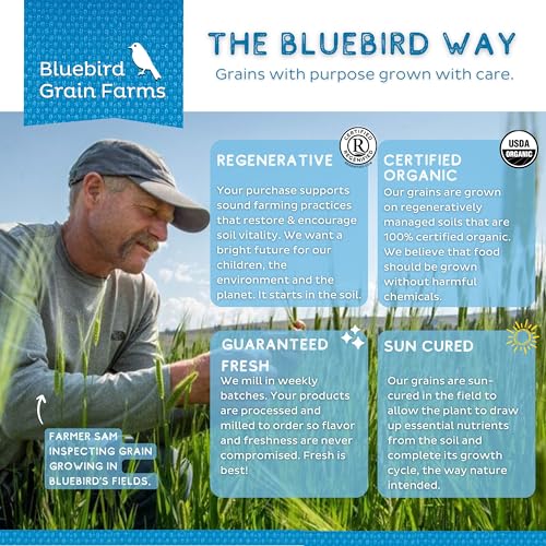 Bluebird Grain Farms Organic Whole Grain Einkorn, 1 Lb.