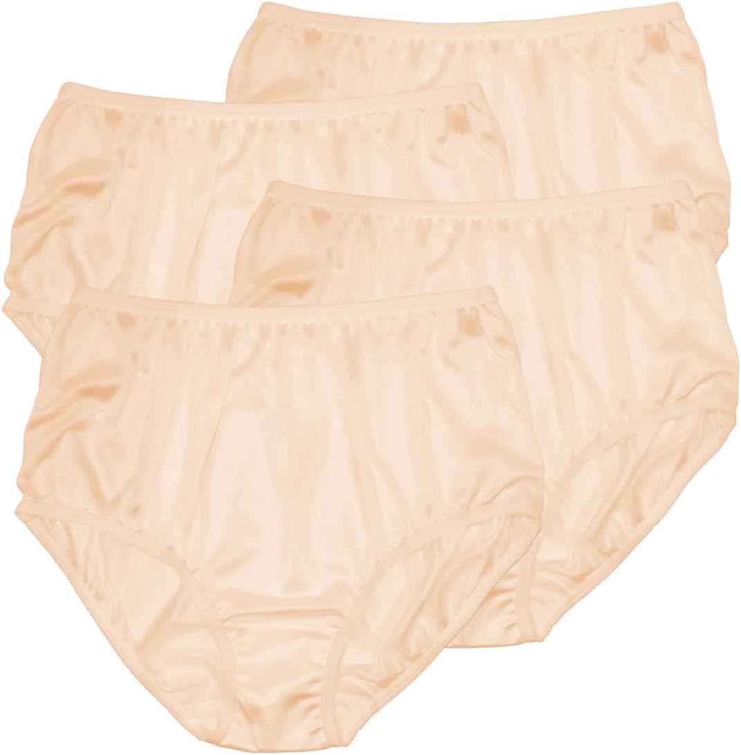 Teri Women's 331 Plain Jane Classic Nylon Silky-Smooth Lightweight Breathable Full Coverage Brief Panty - 4 Pack