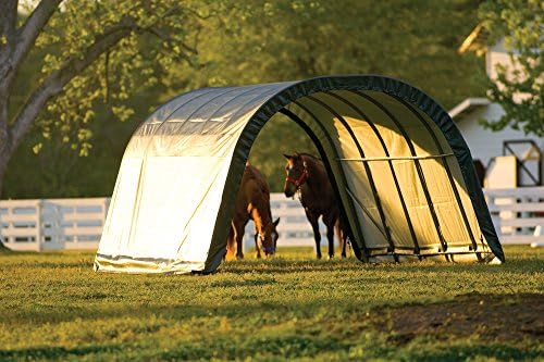 ShelterLogic Peak Style Run-in Shed - Green, 24ft.L x 22ft.W x 12ft.H, Model Number 58542