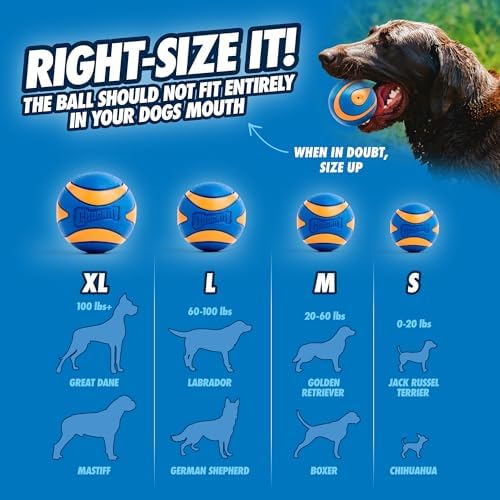 Chuckit! Ultra Ball Dog Toy - Size Large - For Dogs 60-100 lbs - Made from Durable Rubber - Super Bouncy - Floats in Water - 3-inch Diameter - Pack of 1