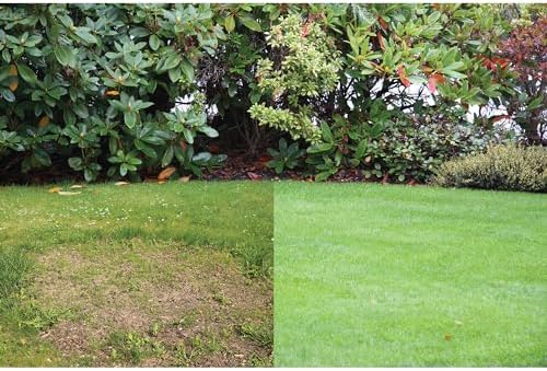 Canada Green Grass Lawn Seed - 4 Pound Bag Grows Healthy Rich Green Fast Growing Grass Lawn Seed Plants Yard Garden