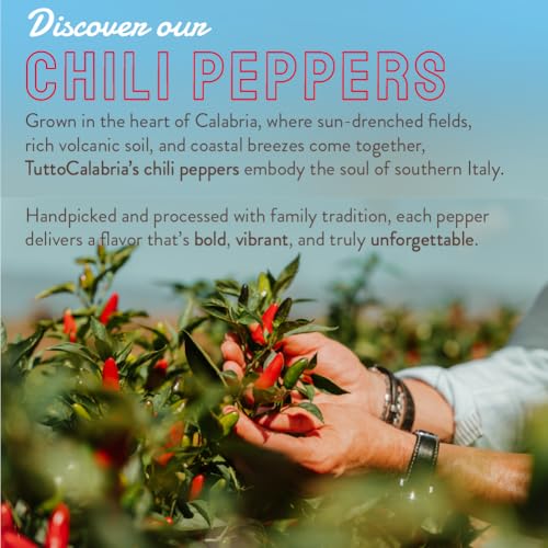 TUTTOCALABRIA Crushed Calabrian Chili Peppers, Spicy Condiment, 10 oz | Crushed Chili Pepper Condiment in Extra Virgin Olive Oil for Pasta, Pizza