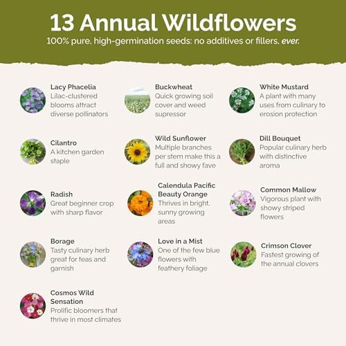 Eden Brothers The Bees Knees Pollinator Wildflower Seed Mix, 1/4 lb (135,000+ Seeds) Throw and Grow - 100% Pure, No Fillers - 18-Variety Non-GMO Annual + Perennial, Covers up to 1,100 SqFt, Zones 3-10