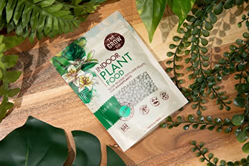 Indoor Plant Food, Slow Release Formula for Houseplants, 5oz
