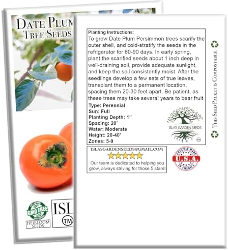 Date Plum Persimmon Tree Seeds (Diospyros Lotus) – 30+ Non-GMO & Heirloom Seeds, Exotic & Rare Fruit Tree, 80% Germination Rate