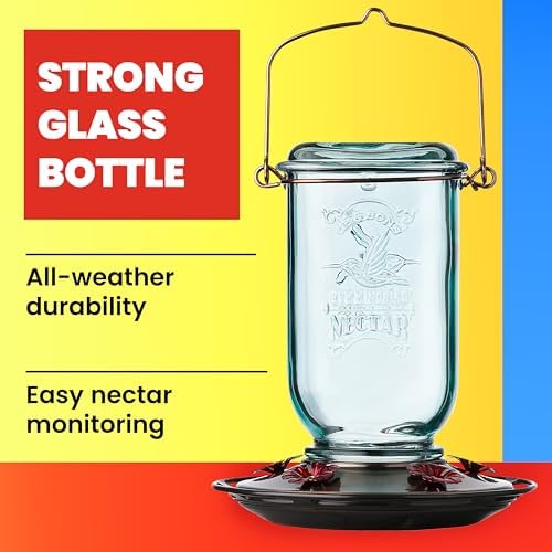 More Birds Mason Jar Hummingbird Feeder, Glass Hummingbird Feeders for Outdoors, 5 Feeding Stations, 25 Ounces
