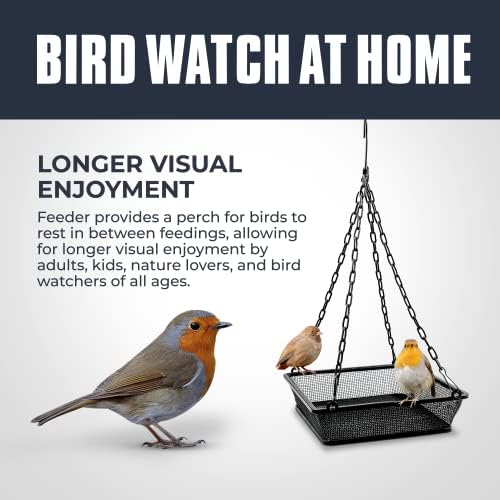 Monarch Abode Hanging Hummingbird Feeders for Outdoors – Single Handcrafted Hanging Glass Hummingbird Feeder with Red Bowl & Perch