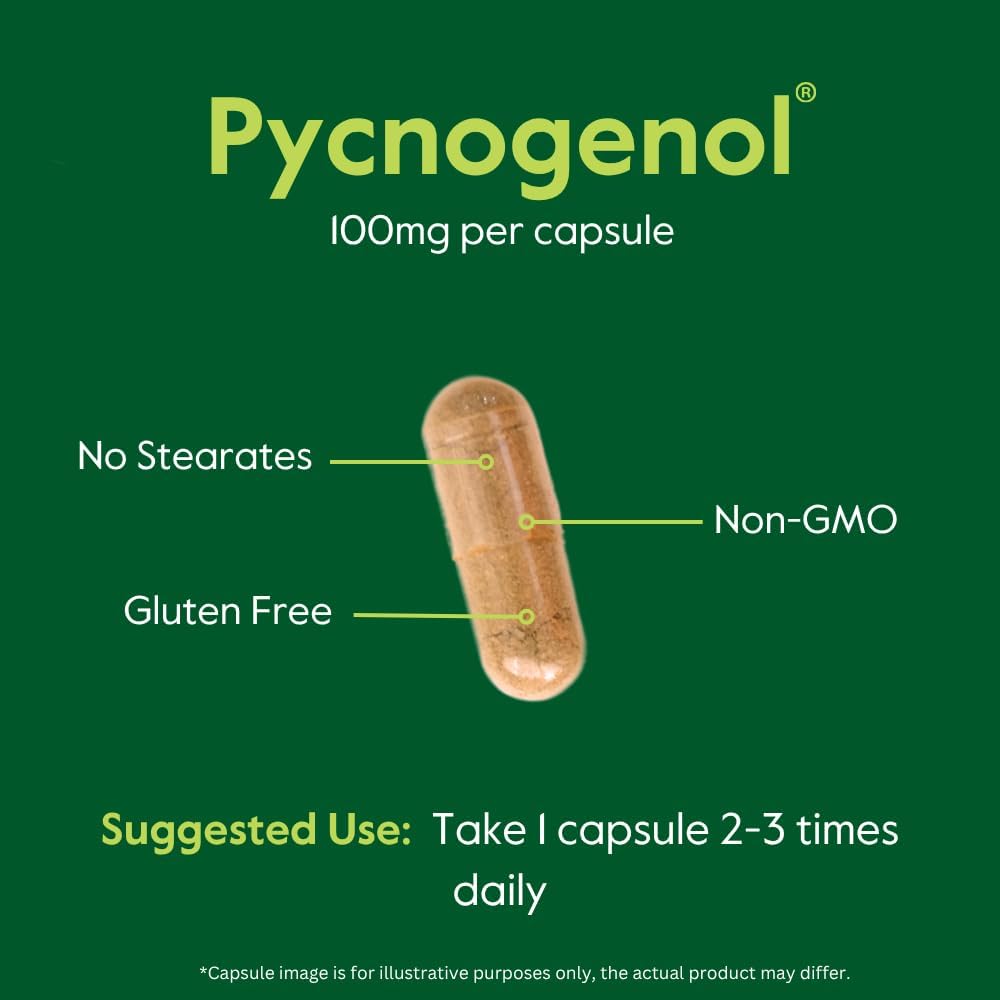 BESTVITE Pycnogenol 100mg (60 Caps) - French Maritime Pine Bark Extract | No Stearates - Gluten Free - Non GMO - Scientifically Studied - Healthy Aging Supplement* - Easy to Swallow Caps