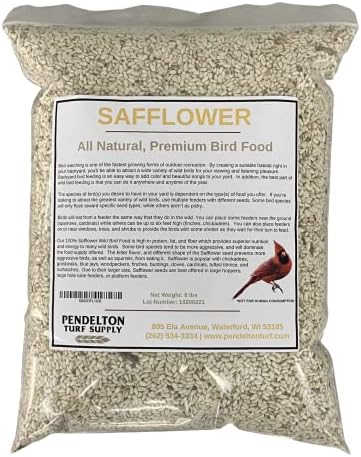 Safflower Wild Bird Seed | All-Natural, Premium Bird Seed (8 lbs Resealable Bag)