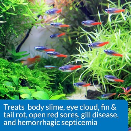 Api Fin and Body Cure Freshwater Fish Medication Powder (10-Count)