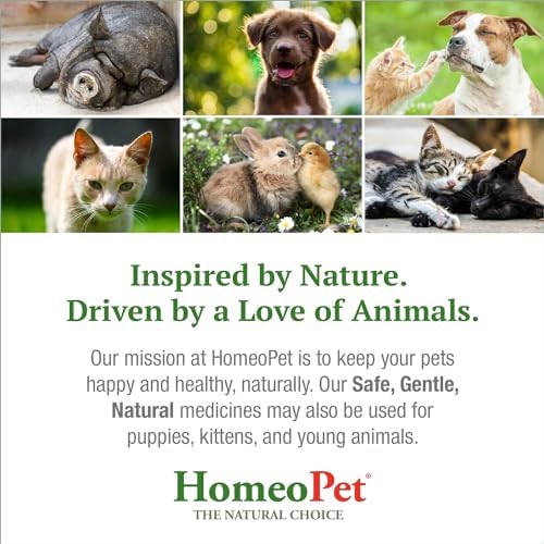 HomeoPet Feline UTI+ Urinary Tract Supplement for Cats, 15 Milliliters | Natural urinary tract support for cats, safe and gentle homeopathic formula, liquid drops suitable for daily use