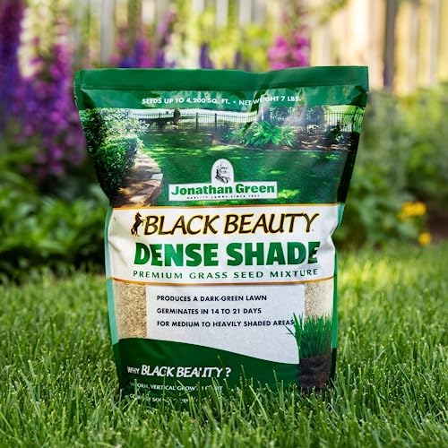Jonathan Green (10610) Black Beauty Dense Shade Grass Seed - Cool Season Lawn Seed (25 lb) | Grows Well in Medium to Densely Shaded Areas