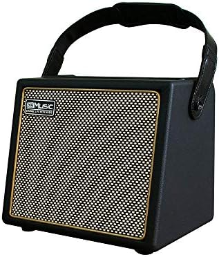 Acoustic Guitar Amplifier, 30 Watt Bluetooth Speaker Rechargeable Portable Acoustic Guitar Amp with Reverb Chorus Effect,3 Inputs, Black