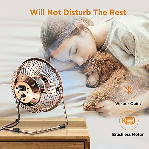 EasyAcc 9 Inch USB Desk Fan Ultra-quiet USB Powered 360° Rotation Desktop Fan with Metal Frame, Portable Personal Cooling Fan with 2 Speed for Home Office (USB POWERED ONLY)