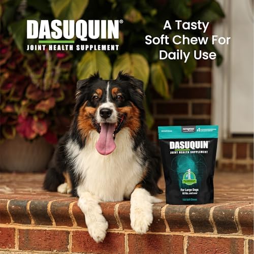 Nutramax Dasuquin Joint Supplement, Small/Med Dogs, Soft Chews, 84ct | Glucosamine and Chondroitin Joint Health Supplement for Dogs under 60 lbs, Soft Chews, With ASU, All Ages