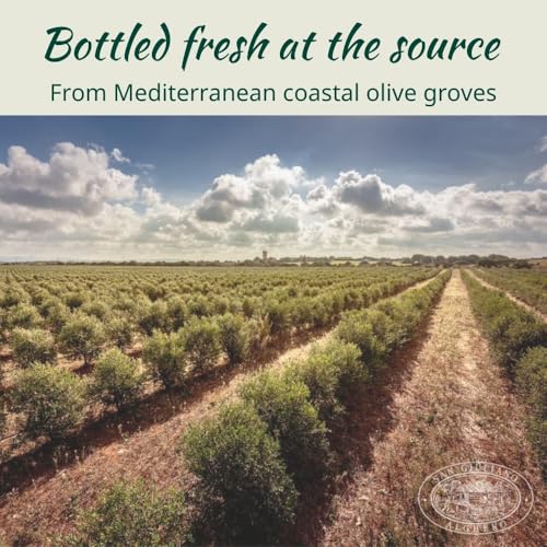 Polyphenol Rich Extra Virgin Olive Oil by San Giuliano, Pure 100% Italian EVOO from Italy, Cold Pressed for Everyday Cooking, Non-GMO Certified, Sustainably Farmed, 750 ML Bottle