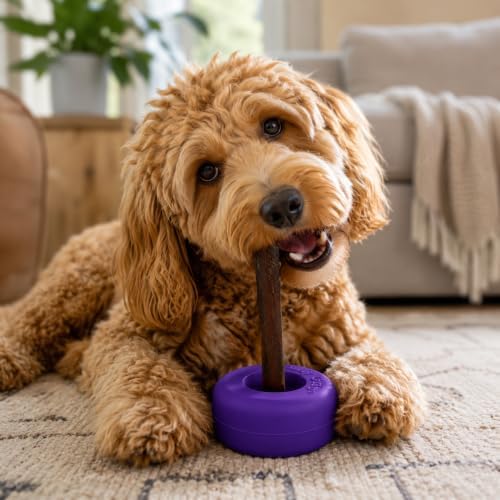 Bully Stick Holder for Dogs - Medium Size - Interactive Dog Toy, Dog Treat Holder, Slow Feeder, Treat Dispenser, Chew Toy and Dog Safety Device