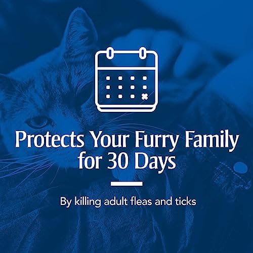 PetArmor Flea & Tick Topical Dogs 45-88 lbs, Fipronil, 3-Month | Ideal for Large Dogs 45-88 lbs; Kills Adult Fleas in 24-48 hrs; 3-month supply; Vet-Quality, No Rx Needed