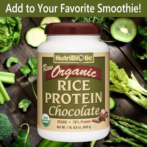 NutriBiotic Certified Organic Plain Rice Protein, 21 Ounce | Low Carbohydrate Vegan Protein Powder | Raw, Certified Kosher & Keto Friendly | Made Without Chemicals, GMOs & Gluten | Easy to Digest