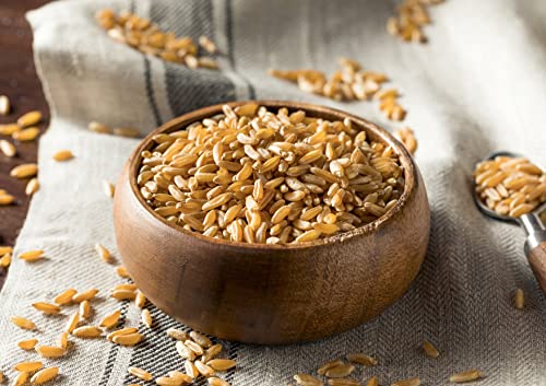 Food to Live Organic KAMUT Khorasan Wheat Berries, 5 Pounds – 100% Whole Grain, Sproutable for Wheatgrass, Non-GMO, Kosher, Bulk