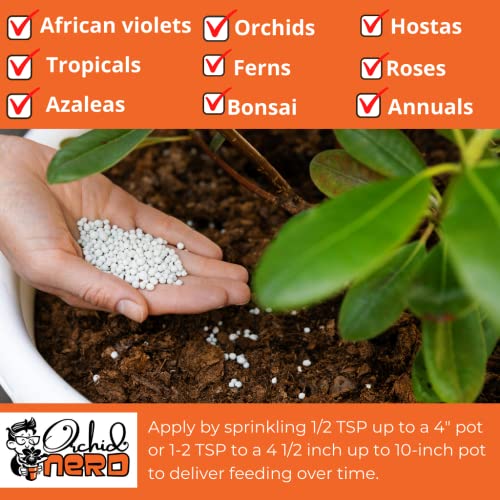 ® Osmocote Classic Flower and Vegetable Smart-Release Plant Food, 15 oz Bag (14-14-14 Plant Fertilizer)