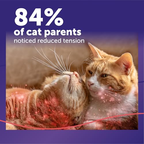 FELIWAY MultiCat Cat Calming Pheromone Diffuser Kit | Helps Reduce Fighting, Tension and Aggression Between Cats due to Stress for Multi‑Cat Homes, 30 Day Supply