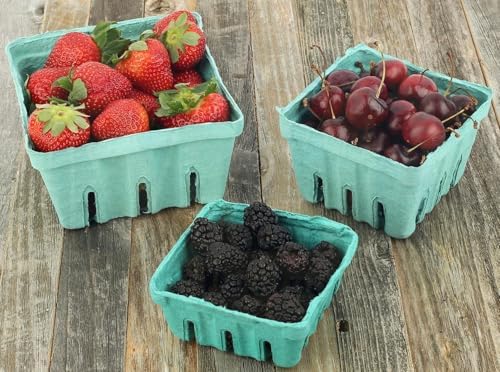 MT Products Green Berry Basket 1 Quart - Molded Pulp Fiber Vented Produce Basket (Pack of 15) - Made in the USA