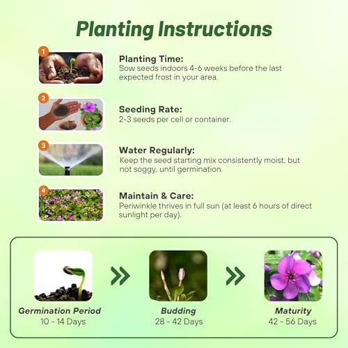 Outsidepride Blueberry Periwinkle Seeds for Planting – 50 Pcs Annual, Fast-Blooming