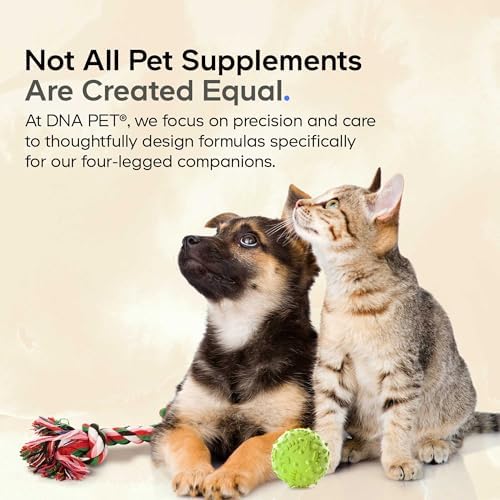 DNA PET Happy Immune Support Mushroom Powder for Dogs, 7 Mushrooms, 3.5 oz