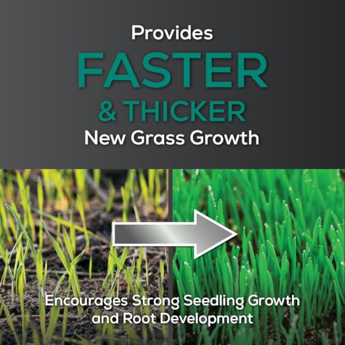 Starter Lawn Food - New Grass Fertilizer, 5,000 sq ft